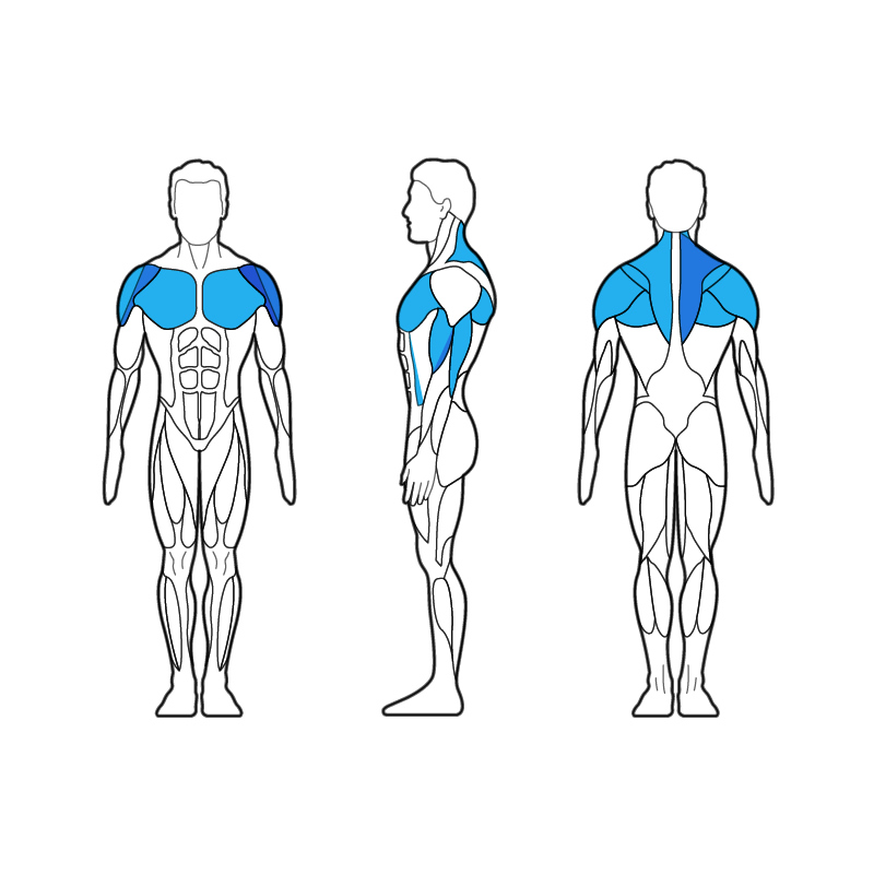 315H Pec Fly / Rear Delt