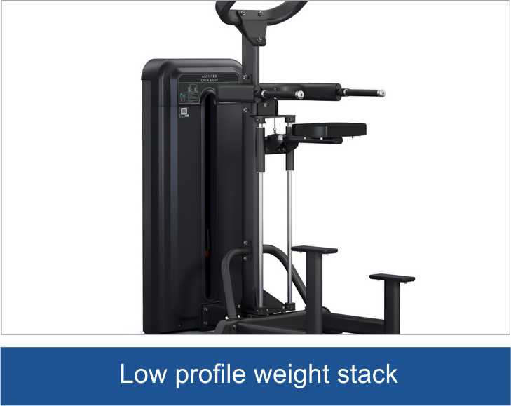 320H Dip / Chin Assist