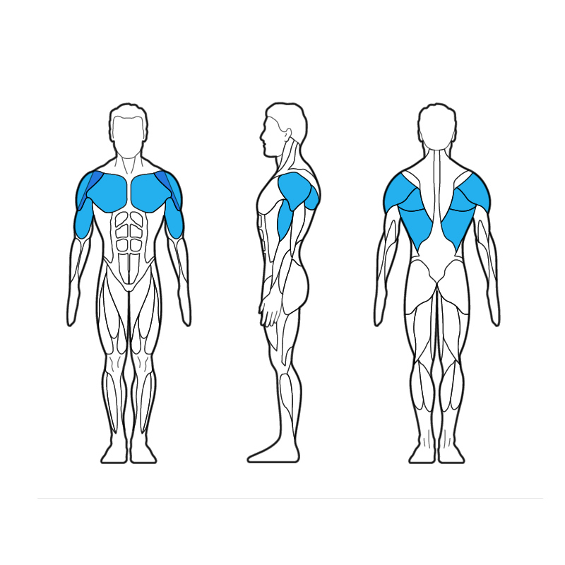 375H Pulldown / Seated Row
