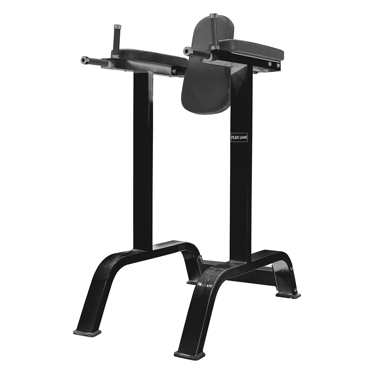 FL6010 Vertical Knee Raise / Dip Stand